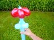 blume.jpg